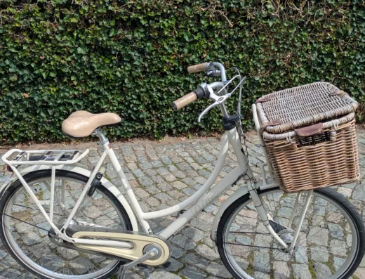 BATAVUS Diva