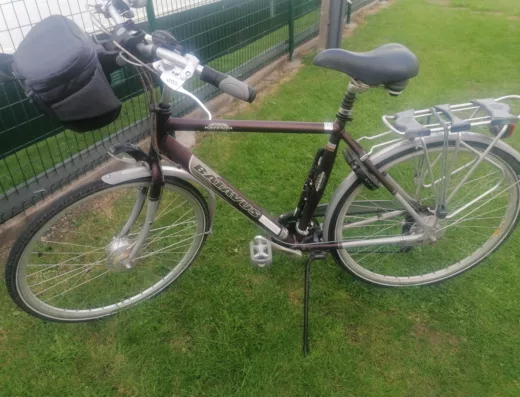 Batavus